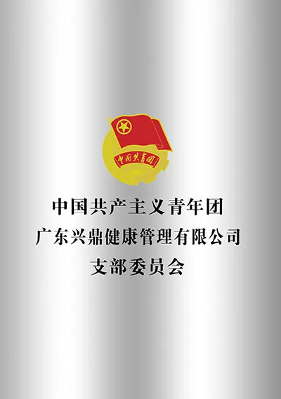 广东兴鼎健康管理有限公司支部委员会
