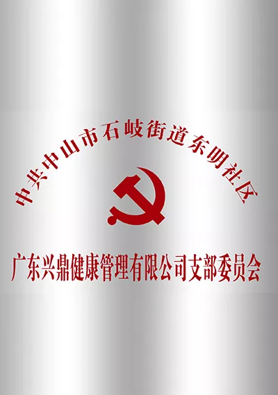 广东兴鼎健康管理有限公司支部委员会